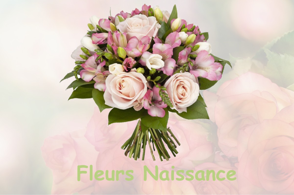fleurs naissance MENETOU-SUR-NAHON